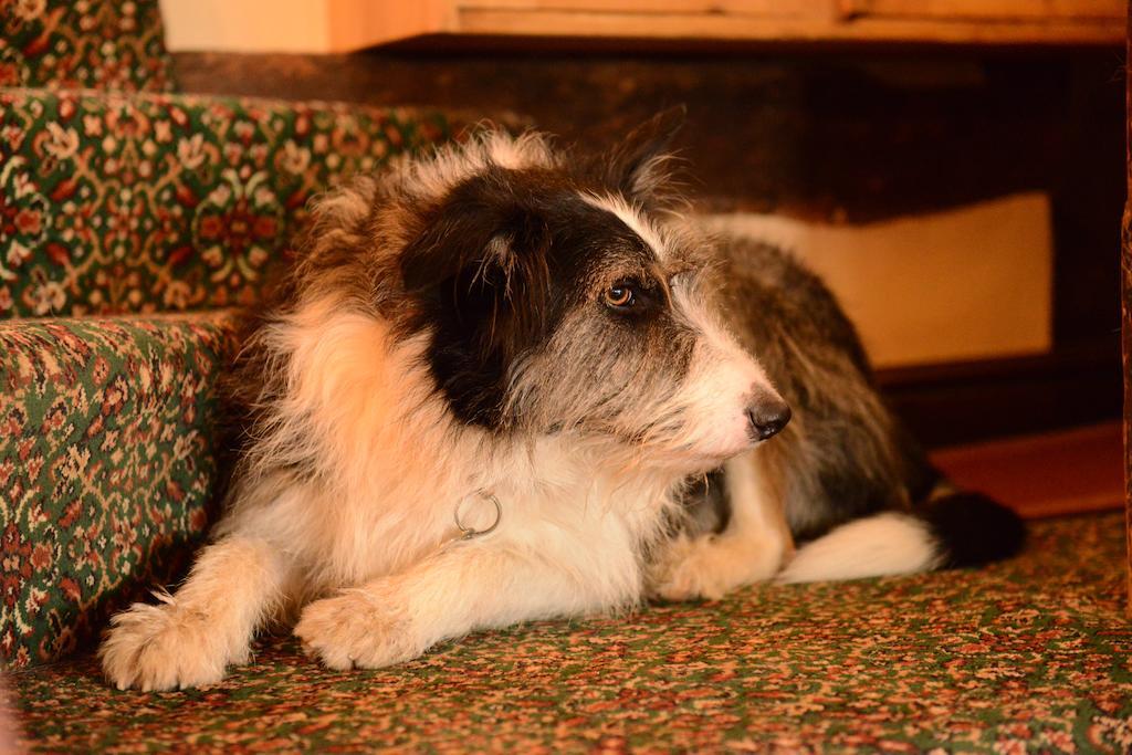Badgers Hall Chipping Campden Eksteriør bilde